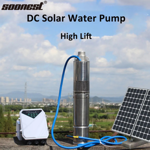 Hot Sale 2000W 3000W <b>Solar</b> Powered Submersible <b>Pump</b> Stainless Steel High Pressure DC Brushless Motor for Deep Well Water - Product Image 2