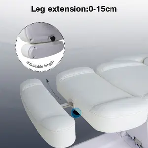 새로운 4 모터 전기 화장품 에스테틱 뷰티 살롱 스파 래쉬 얼굴 피부과 의자 마사지 테이블 침대 Led 빛