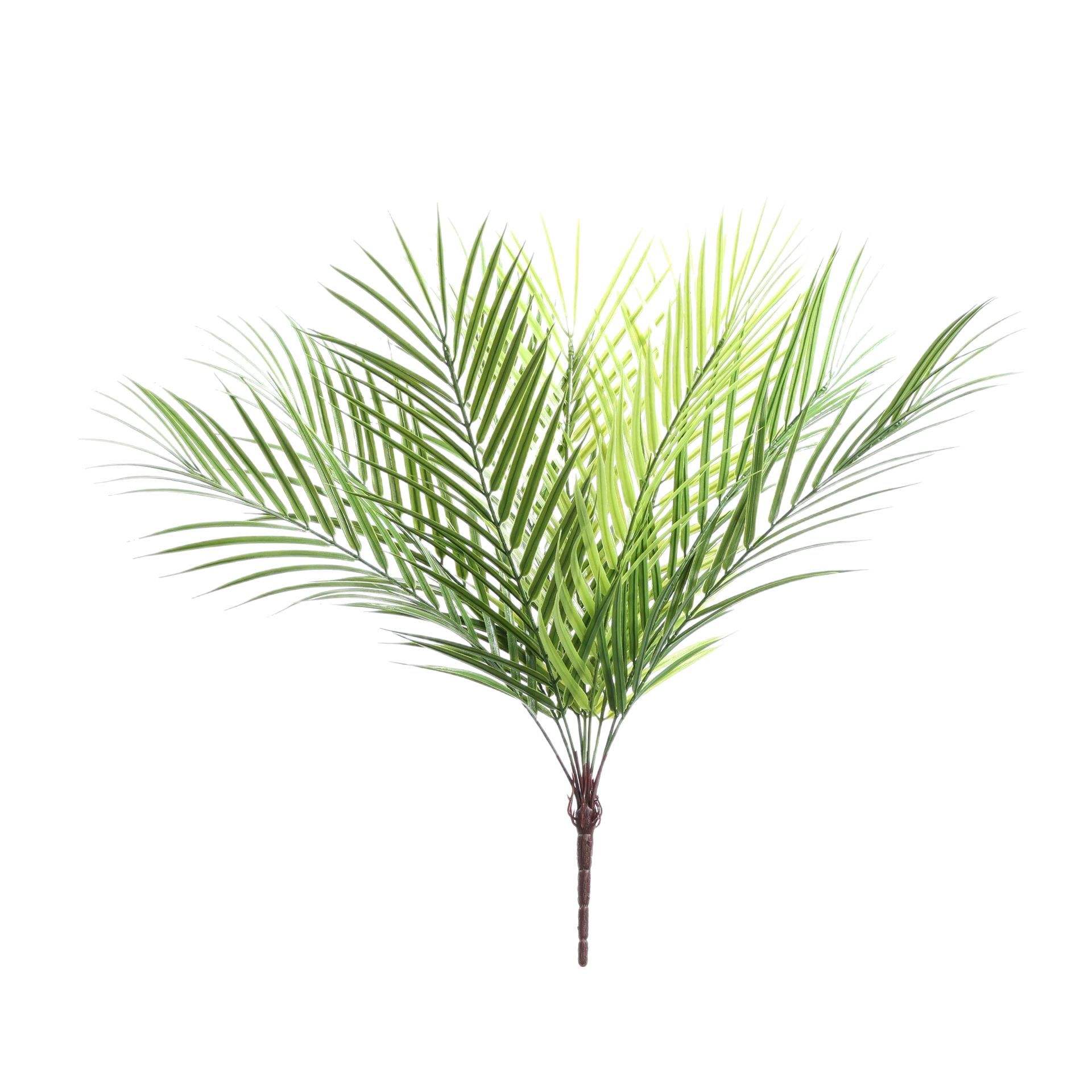 ตามที่แสดง