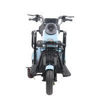 Tricycle électrique cargo de haute qualité 2024, trois roues, moteur sans balais, batterie au plomb-acide, vitesse maximale de 28 km/h, pour adultes et passagers