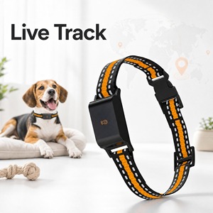 <span class=keywords><strong>Collier</strong></span> GPS LBS 4G pour animaux de compagnie, sans frais d'abonnement, IP65, prêt à être expédié, faible MOQ, DDP disponible, traceur anti-perte pour chien et chat - Product Image 2