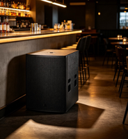 Subwoofer de scène haute puissance 15 pouces (500W RMS / 2000W de crête, poids net 32kg) Haut-parleur passif 8 ohms pour clubs et installations fixes