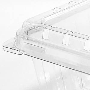 <span class=keywords><strong>Tomate</strong></span> cereza Fruta Embalaje Caja Clamshell Pinta - Product Image 3