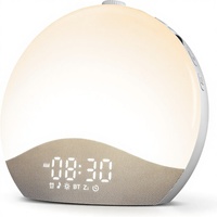Réveil Ecozy avec Sons Apaisants et Lumières Nocturnes – 26 Sons Relaxants, 17 Lumières de Nuit, Réveil par Lumière du Soleil et Haut-parleur
