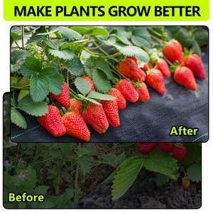 Прочная черная агроткань из полипропилена для борьбы с сорняками и защиты грядок, 70-250 г/м², срок службы 2-5 лет, для сада и двора - Product Image 3