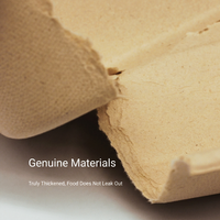 Boîte à lunch biodégradable en pulpe avec couvercle, récipient alimentaire jetable compostable pour la restauration