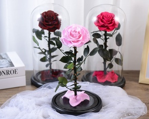 Prix de gros d'usine d'origine, <span class=keywords><strong>La</strong></span> <span class=keywords><strong>Belle</strong></span> <span class=keywords><strong>et</strong></span> <span class=keywords><strong>la</strong></span> Bête, fleurs <span class=keywords><strong>éternelle</strong></span>s, roses conservées dans un dôme en verre - Product Image 3