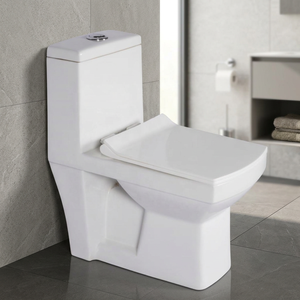 Cyclone Flushing Indian Bathroom Villa Square Full <b>Back</b> Touch Wall Rimless One Piece Water Closet - Product Image 5
