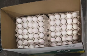 Huevos Frescos |   Huevos de Granja Premium Maharashtra, Alta Proteína, Calidad de Exportación - Product Image 2