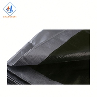 Couverture de balcon de bâche de bâche de Pe bâche de Pe bâche recyclée