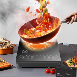 Vente directe d'usine 1200W haute puissance chauffage solaire ménage cuisinière à <span class=keywords><strong>Induction</strong></span> <span class=keywords><strong>pour</strong></span> voiture et RV DC 24-48V <span class=keywords><strong>batterie</strong></span> Source d'alimentation - Product Image 3