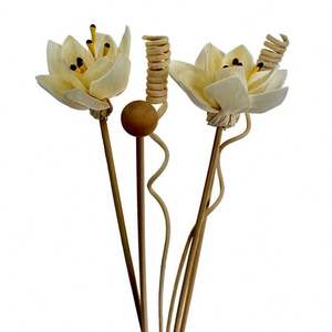 Anches en osier 30Cm Diffuseur synthétique Cat Safe Reed <span class=keywords><strong>Durance</strong></span> Éléments essentiels Bâtons parfumés Sans huile Tiges de fleurs - Product Image 4