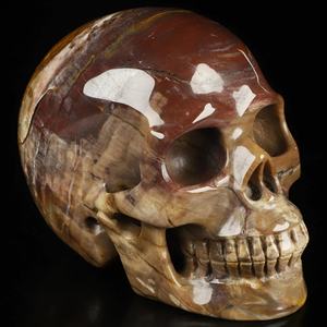 Cráneos de Madera Petrificada Pulidos al Estilo Bohemio al por Mayor para Decoración del Hogar Única y Regalos Navideños - Product Image 4