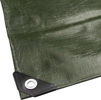 Bâche tissée multi-usages enduite anti-UV 240 g/m² en polyéthylène noir/vert, toile de protection pour le sol, usage industriel