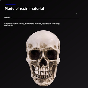 Modelo de Enseñanza Médica, Cráneo Completo de Resina, Naturaleza Muerta para Educación Artística y Anatómica - Product Image 6