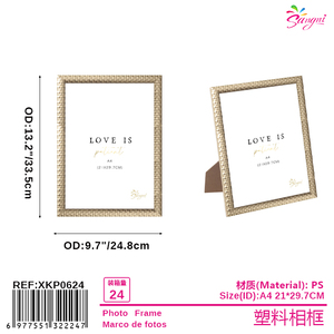 Cornice fotografica 21*29.7cm - Product Image 1