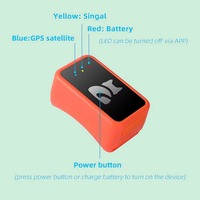 Nouveau design de traceur GPS pour animaux de compagnie avec E-SIM, collier pour chien et chat 4G avec positionnement à distance en temps réel, localisateur de chien