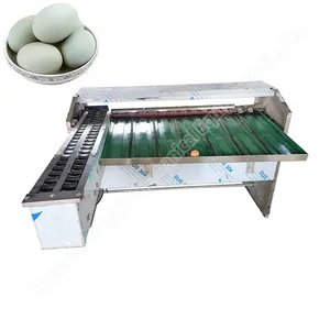 Máquina de classificação e classificação de ovos de galinha, máquina usada para classificar e embalar ovos
