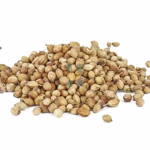 SFG Spices Supplier Wholesales Coriander Seeds Brazil Coriander Premium Quality Coriand Seed