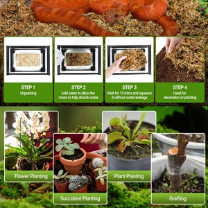 Le mélange de rempotage d'orchidée de mousse de sphaigne naturelle d'approvisionnement d'usine pour l'usine de jardinage d'orchidée peut être utilisé pendant longtemps - Product Image 5