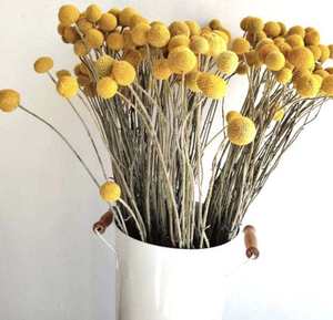 QSLH-S0427 tự nhiên màu vàng <span class=keywords><strong>Billy</strong></span> nút quả bóng craspedia hoa khô nhà hàng thủ công bên đám cưới giáng sinh Halloween phục sinh - Product Image 3