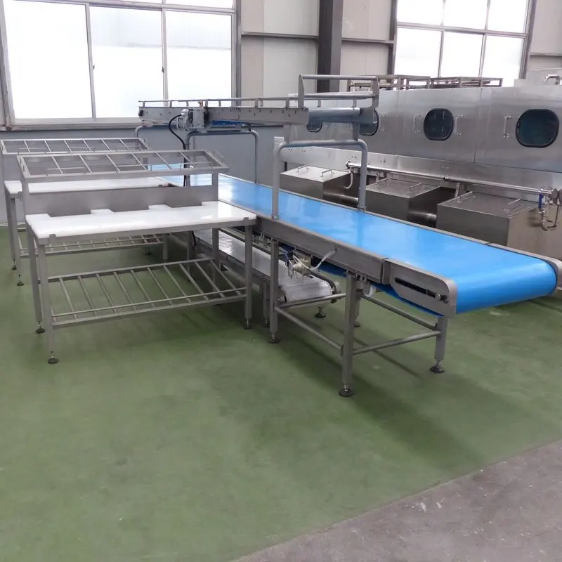Commercial Project Halal Cattle and Lamb Slaughter Equipment for Meat Cutting Line South Africa Workshop with Hygiene Restaurant