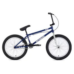 Single Speed 20 Inch CRO-MO Frame Extreme BMX Bicycle For Unisex Dirt Jump