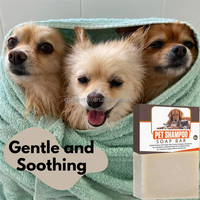 Barre de savon pour animaux de compagnie à base de plantes extra-forte pour chiens chats chiot peau sèche soulagement des démangeaisons contrôle des odeurs fabricant de savon désodorisant