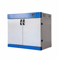 Four de séchage à convection à air chaud vertical à double porte en acier inoxydable, économe en énergie, 220V, capacité 154-620L, protection IP65 testée