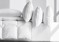 Oreiller en duvet d'oie blanc, en coton, pour hôtel, boîte matelassée, plumes d'oie, blanc, qualité supérieure, compétition