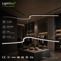 Lampada a Sospensione LED Lineare Collegabile da 40W con Lente Ottica in PMMA, Lampadario Moderno Rotondo da 800mm per Ufficio e Casa