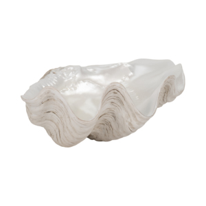 Ciotola Decorativa con Guscio Texturizzato e Bordo Ondulato per l'Accento della Tavola di Casa - Product Image 3