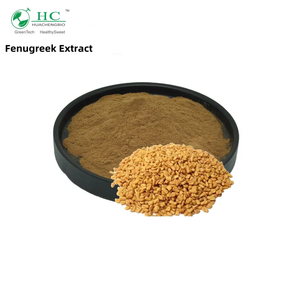 Penjualan terlaris ekstrak fenugreek 40% saponin kualitas tinggi ekstrak biji fenugreek dengan sampel gratis