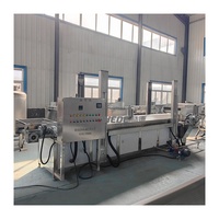 Platanitos Gas Nouvelle Machine à Frire Automatique à Bande Transporteuse en Acier Inoxydable