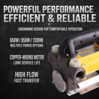 Pompe de transfert de carburant diesel électrique industrielle basse pression 60L/min avec moteur en cuivre, poignée de transport et base en alliage OEM