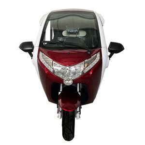 Cabine entièrement fermée Scooter Tricycle Vélo électrique pour les personnes âgées et les personnes handicapées - Product Image 1