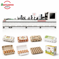 Impresora Industrial de Cartones para Huevos BNM-JDH02, Equipo de Impresión Digital para Empaquetado, Marca y Producción