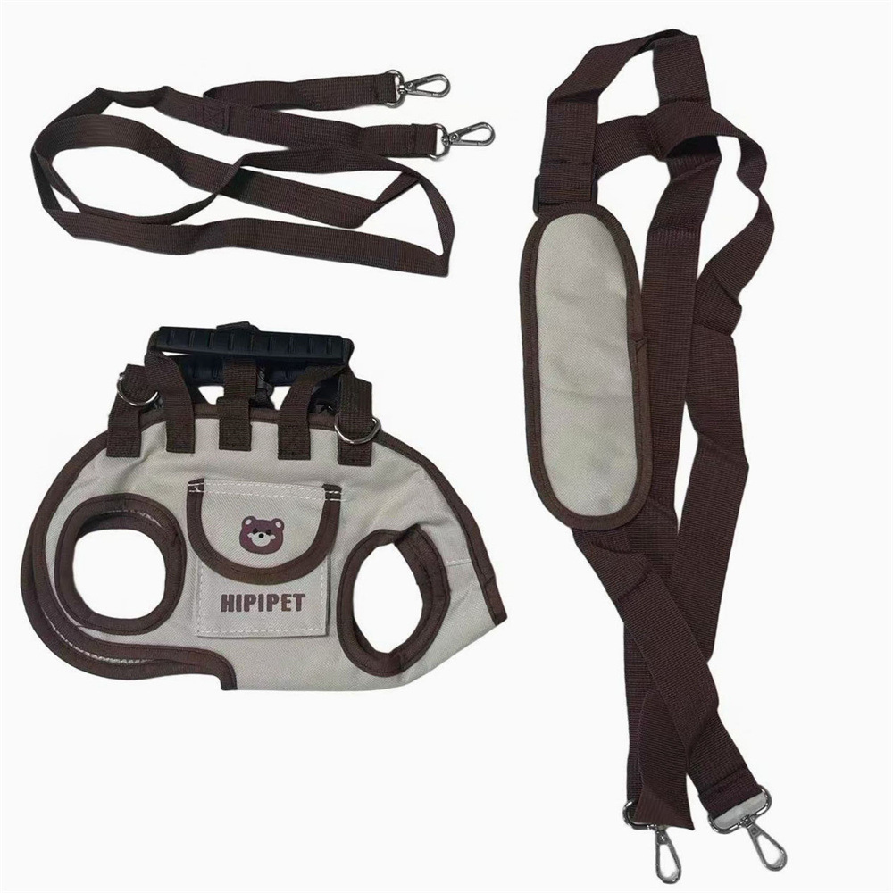 Hippie Dog Horizontal Backpack (Crystal Orange L)