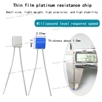 Chip de Medición de Temperatura de Resistencia de Platino de Película Delgada PT100, Sensor de Temperatura de Clase B y Clase A con Alta Precisión