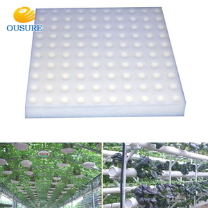 Trắng soilless Rau ươm chậu cây giống nhân bản cổ áo vườn trồng trồng thủy canh miếng bọt biển - Product Image 4