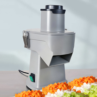 Commerciële automatische groente- en fruitsnijmachine voor restaurants en keukens