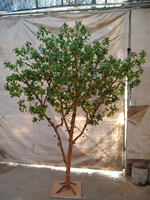 Arbre Fruitier Artificiel Jiabao Faux Trésor Fruit Faux Arbre Vert Intérieur Maison Hôtel Décoration Plante Paysage Arbre