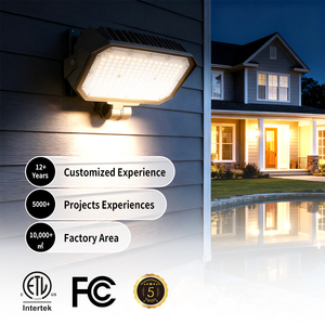 Độ sáng cao lumen IP65 thép không gỉ 80W 100W 150W chống cháy nổ sân vận động - Product Image 1