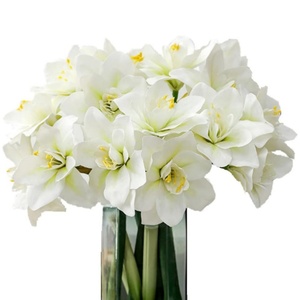 Fleurs d'<span class=keywords><strong>Amaryllis</strong></span> Artificielles Tige Real Touch Grandes Fleurs Tropicales <span class=keywords><strong>Plante</strong></span> de Ménage pour Arrangements de Vase Décor de Bureau à Domicile - Product Image 1
