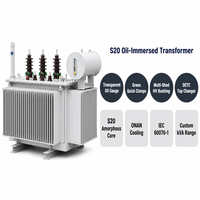 Transformateur à huile en alliage amorphe Wanbo-512 S20 avec jauge d'huile transparente, pince verte, enroulement en cuivre 10kV, kVA personnalisé