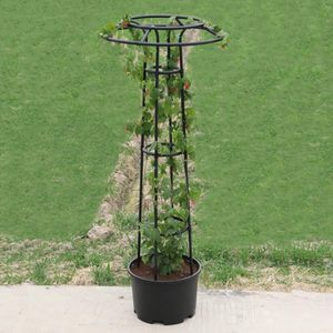 Support de plante d'extérieur, cadre pour fleurs, cadre pour roses grimpantes, cadre vert à anneau unique, poteau de soutien, treillis en forme de parapluie de jardin - Product Image 1