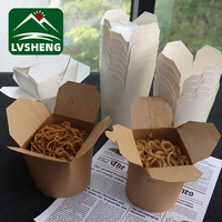 Boîte biodégradable Boîte de nouilles à emporter Vente chaude Emballage de boîte de pâtes