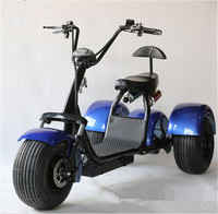 Güçlü 2000W Alüminyum Gövdeli Şişman Lastikli Elektrikli Üç Tekerlekli Bisiklet 3 Tekerlekli Citycoco 60V 40AH Lityum Bataryalı Elektrikli Scooter