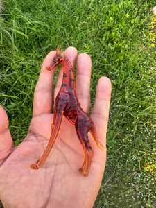 Hand Blown Glass Giraffe Figurine Art Decor Handmade Animal Sculpture Amber Color With Black Spots - Product Image 3