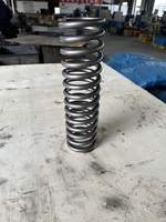 Fabrication de ressort de compression personnalisé, 50 pièces, meilleur prix